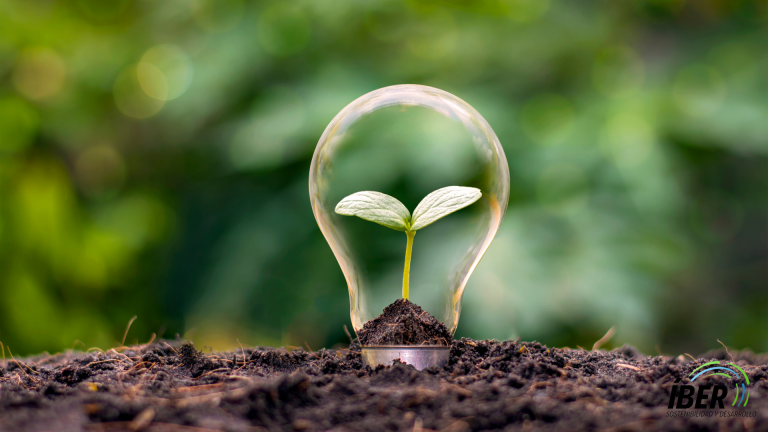 Los españoles a favor de las renovables