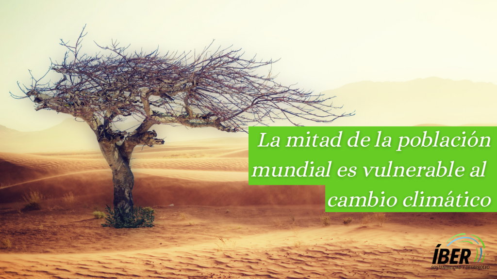 Casi la mitad de la población mundial es “altamente vulnerable” a un cambio climático que ha causado ya daños generalizados