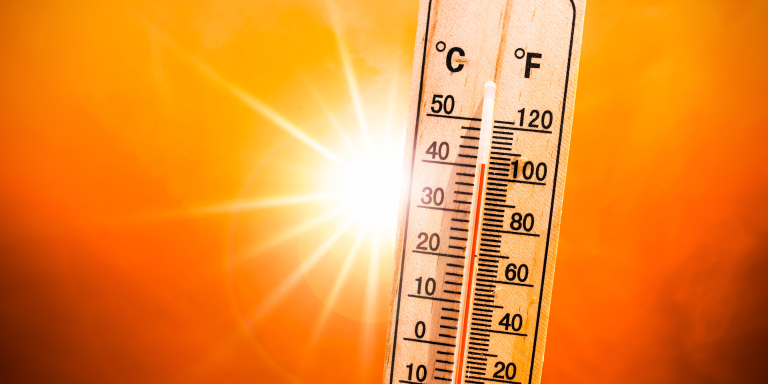 Ola de calor